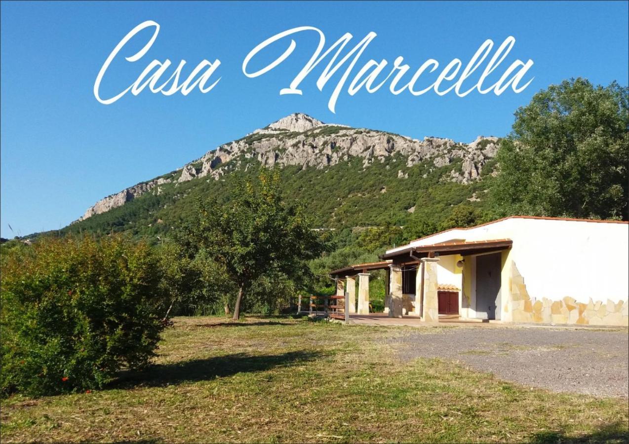 Apartament Casa Marcella Dorgali Zewnętrze zdjęcie